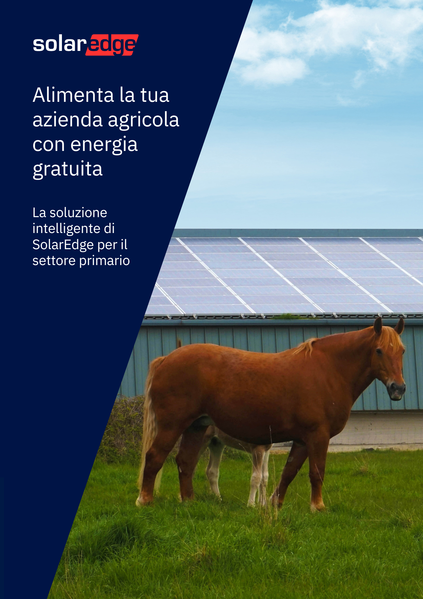 SolarEdge impianto fotovoltaico agrivoltaico per azienda agricola